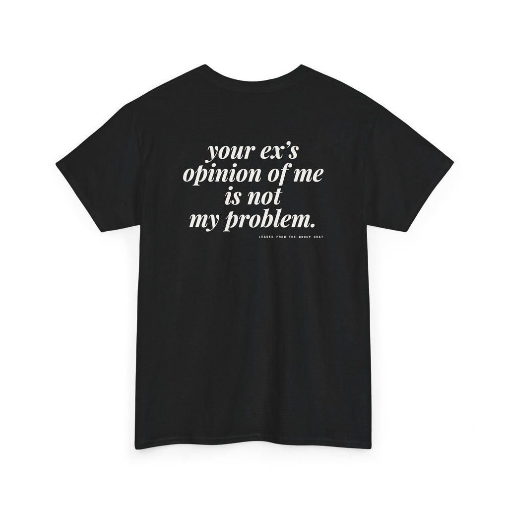 Your Ex's Opinion Of Me Is Not My Problem.