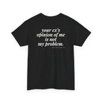 Your Ex's Opinion Of Me Is Not My Problem.