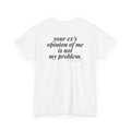 Your Ex's Opinion Of Me Is Not My Problem.